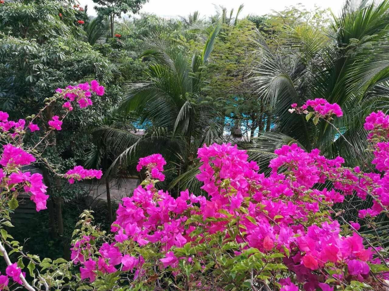 Stony Brook Villa Jianguo Resort Sanya Eksteriør billede